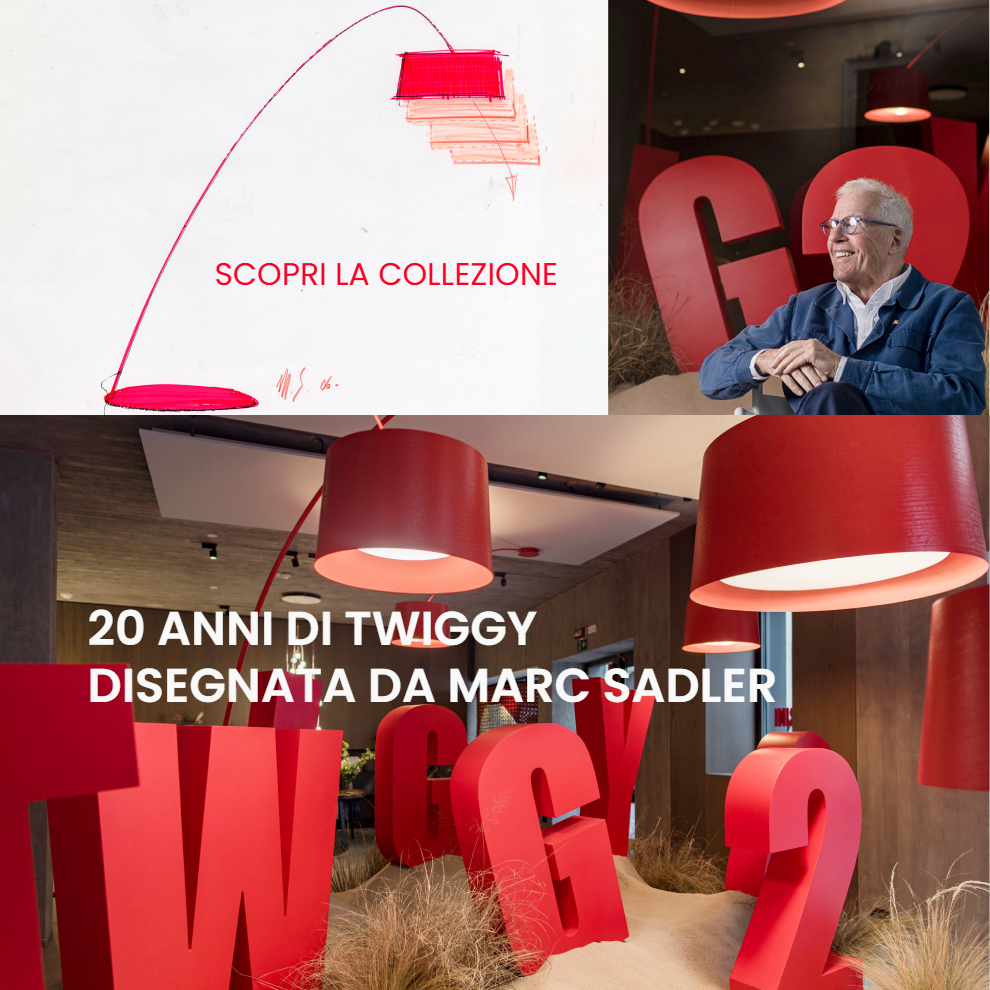 twiggy 20 anni